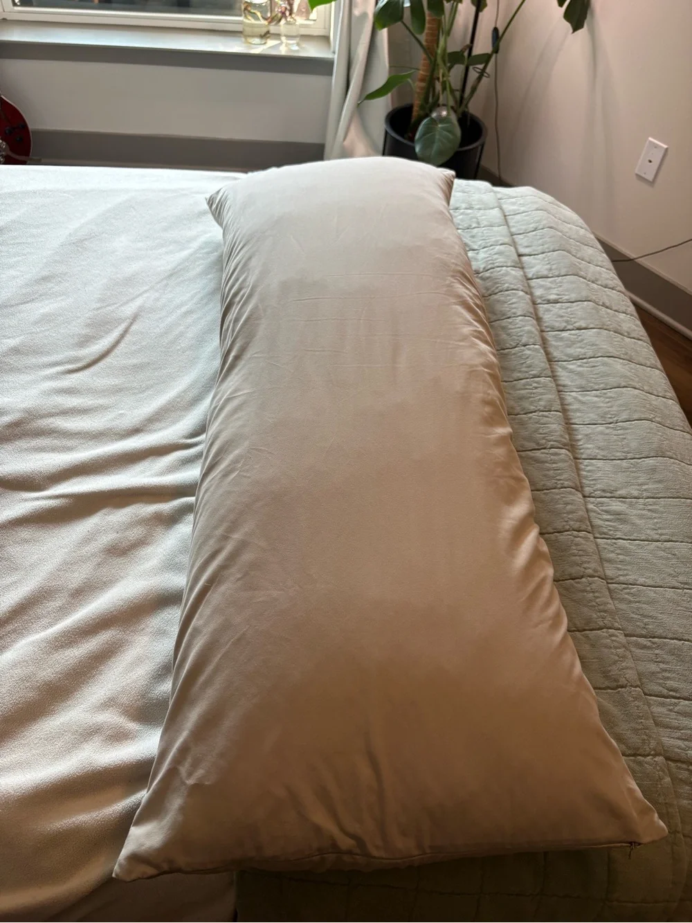 Snuggle-Pedic bamboo Body Pillow 20x54